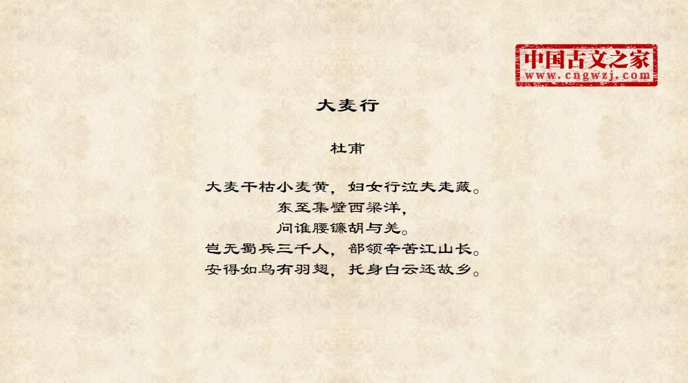 大麦行
