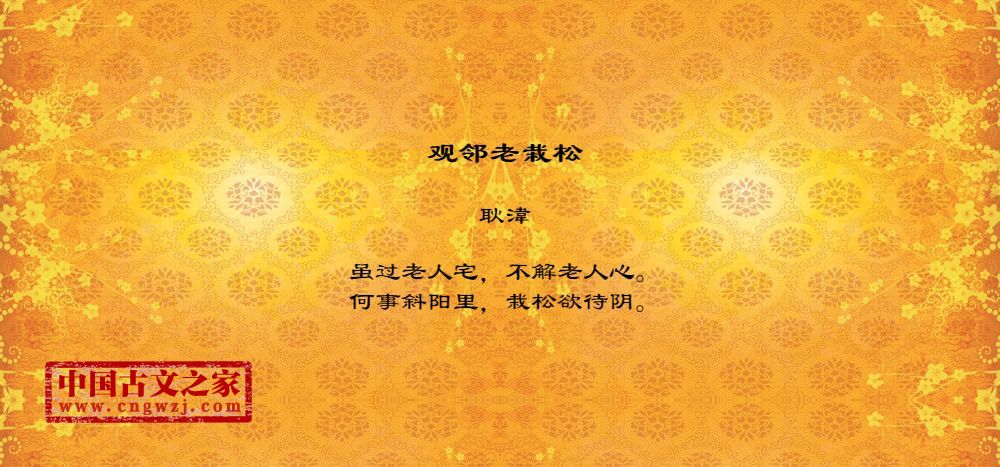 观邻老栽松