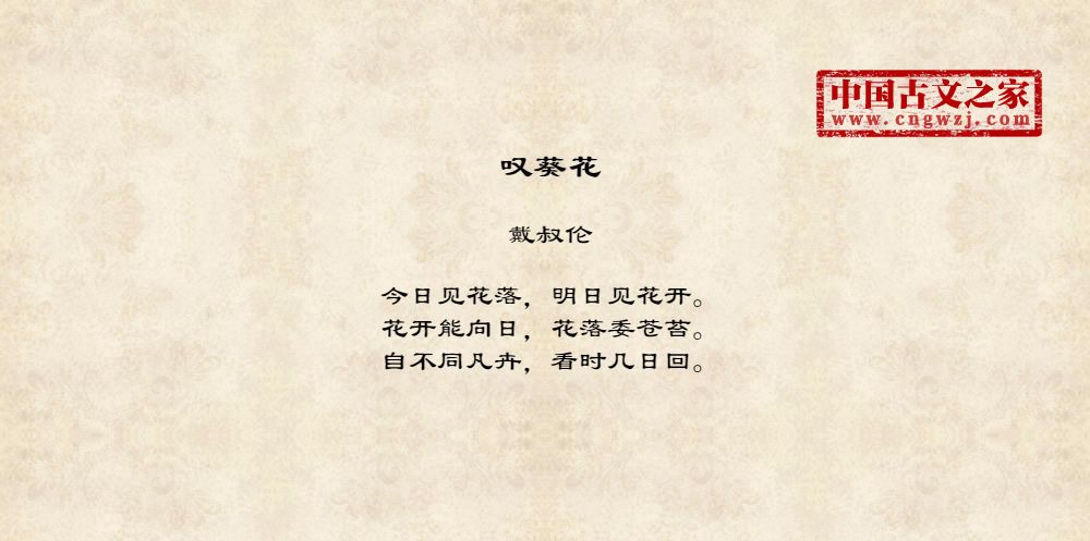 叹葵花