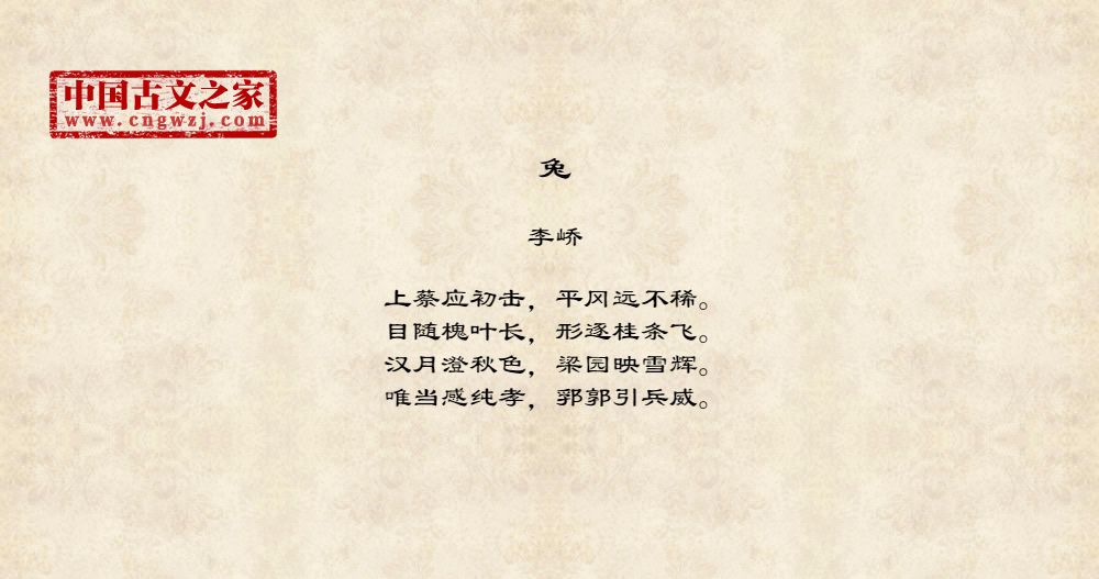 兔