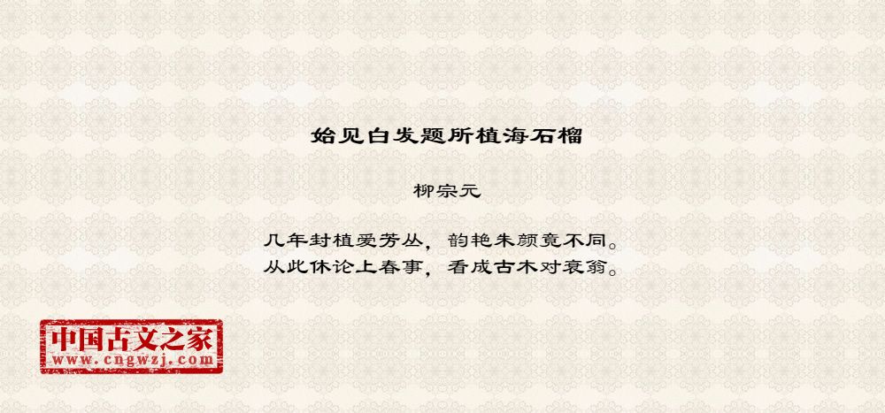 始见白发题所植海石榴