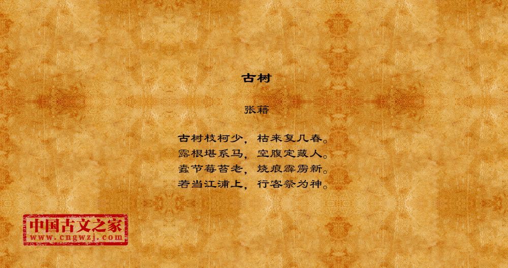 古树