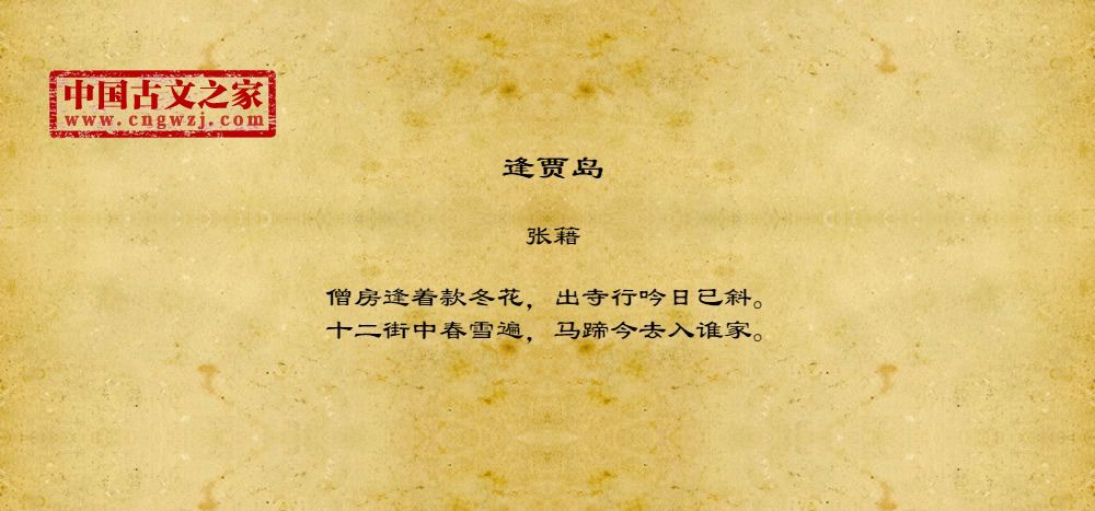 逢贾岛