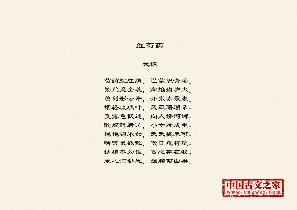 红芍药