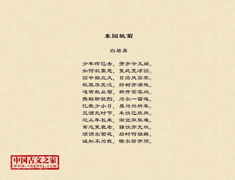东园玩菊