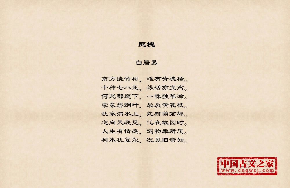 庭槐