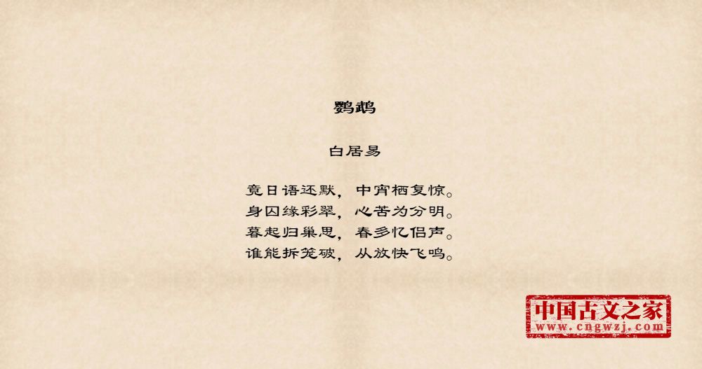 鹦鹉