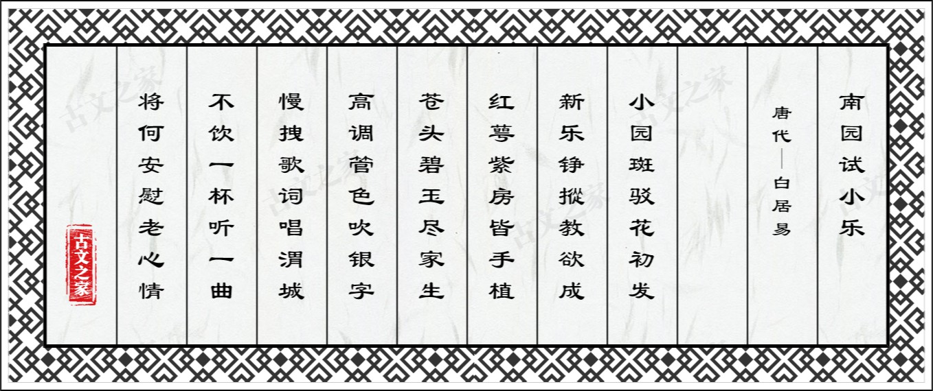 南园试小乐