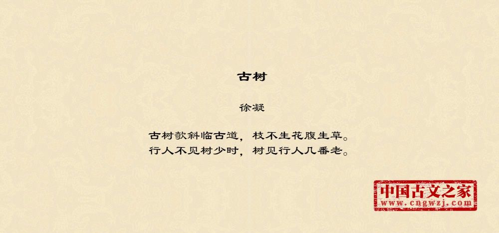 古树