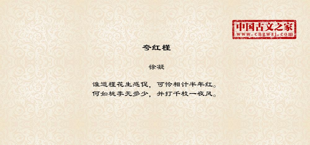 夸红槿