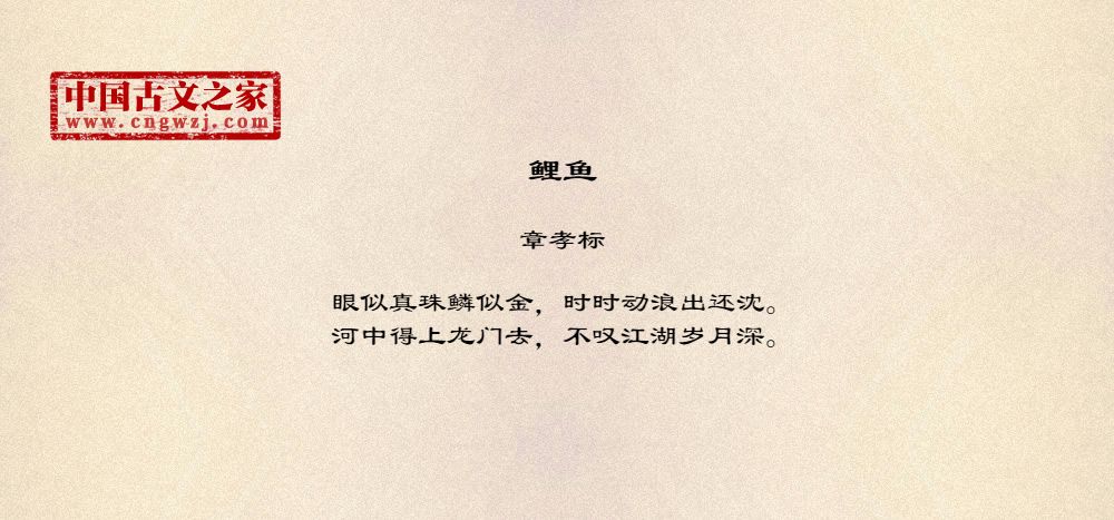 鲤鱼