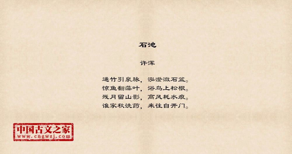 石池