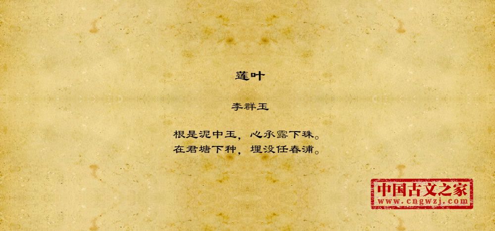 莲叶