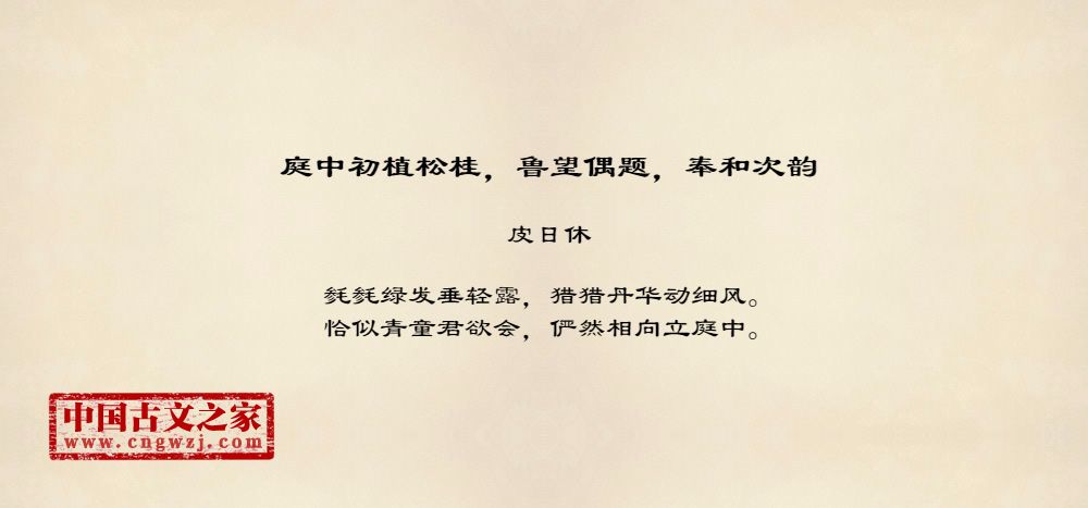 庭中初植松桂，鲁望偶题，奉和次韵