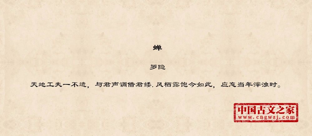 蝉图片