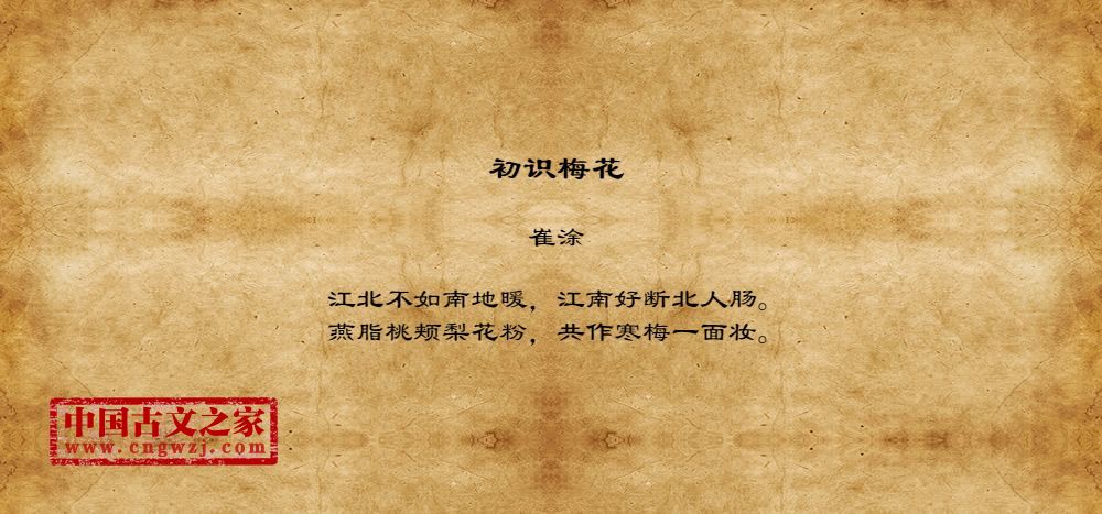 初识梅花