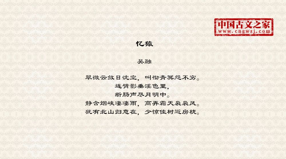 忆猿