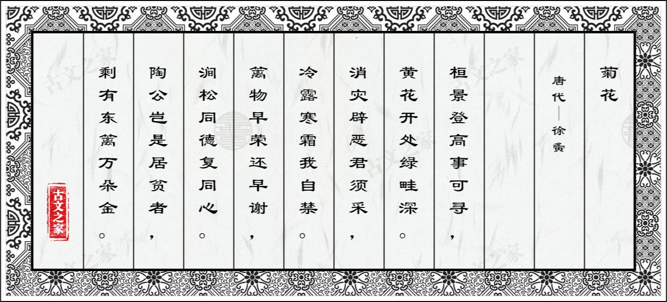 菊花