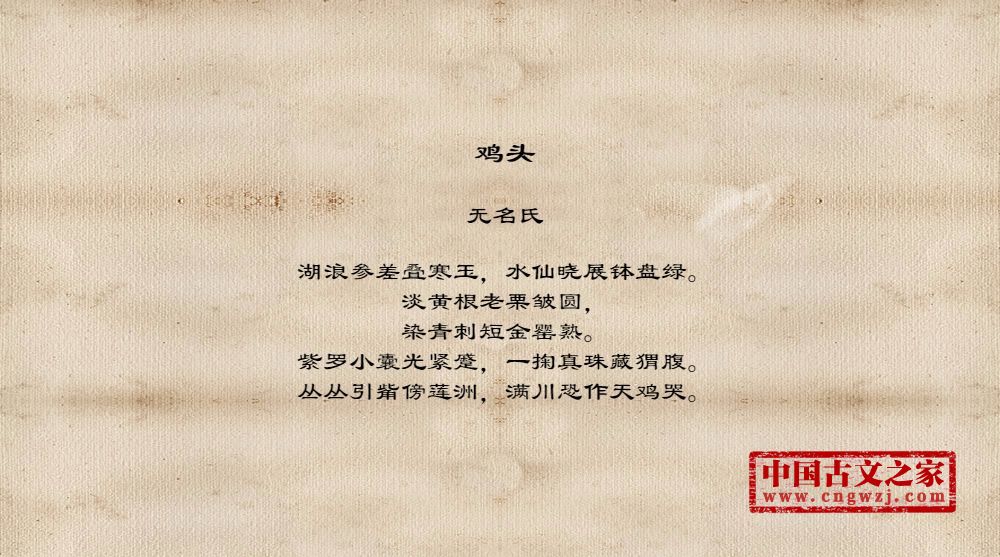 鸡头