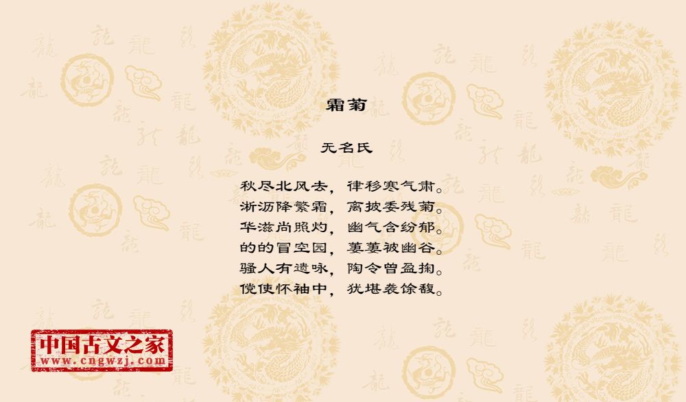 霜菊