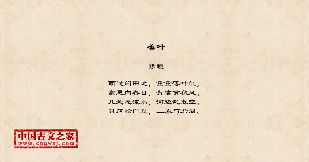 落叶图片修睦的落叶全文配图