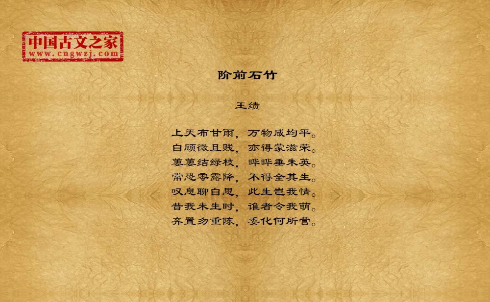 阶前石竹