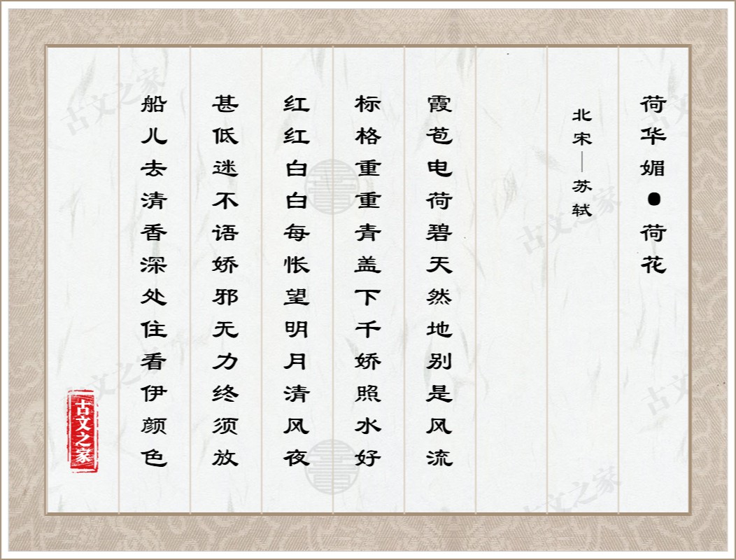 荷华媚·荷花
