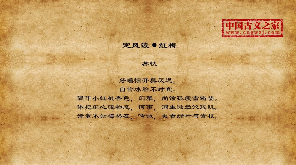 定风波·红梅