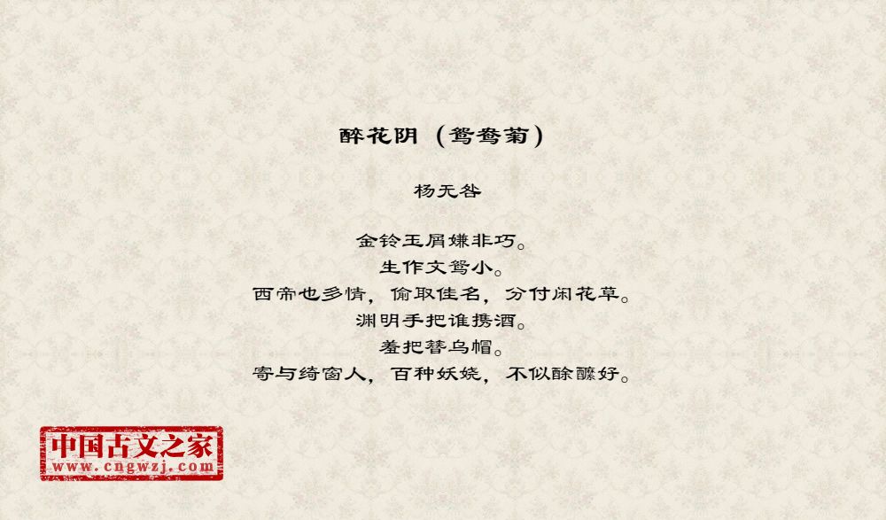 醉花阴（鸳鸯菊）