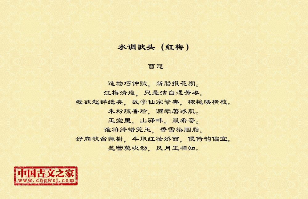 水调歌头（红梅）