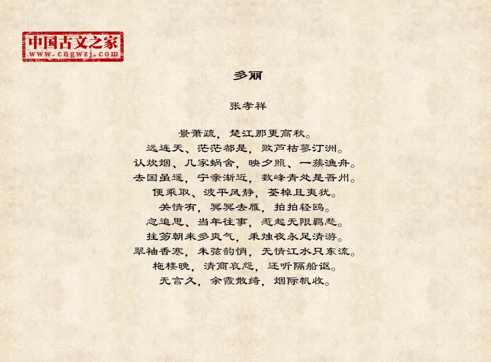 多丽