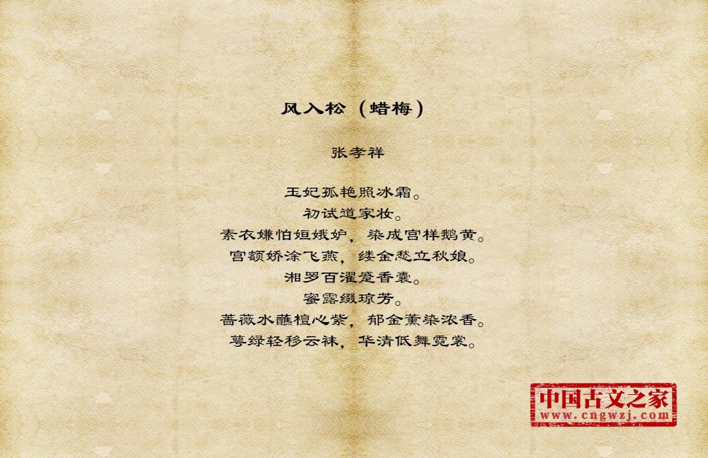 风入松（蜡梅）