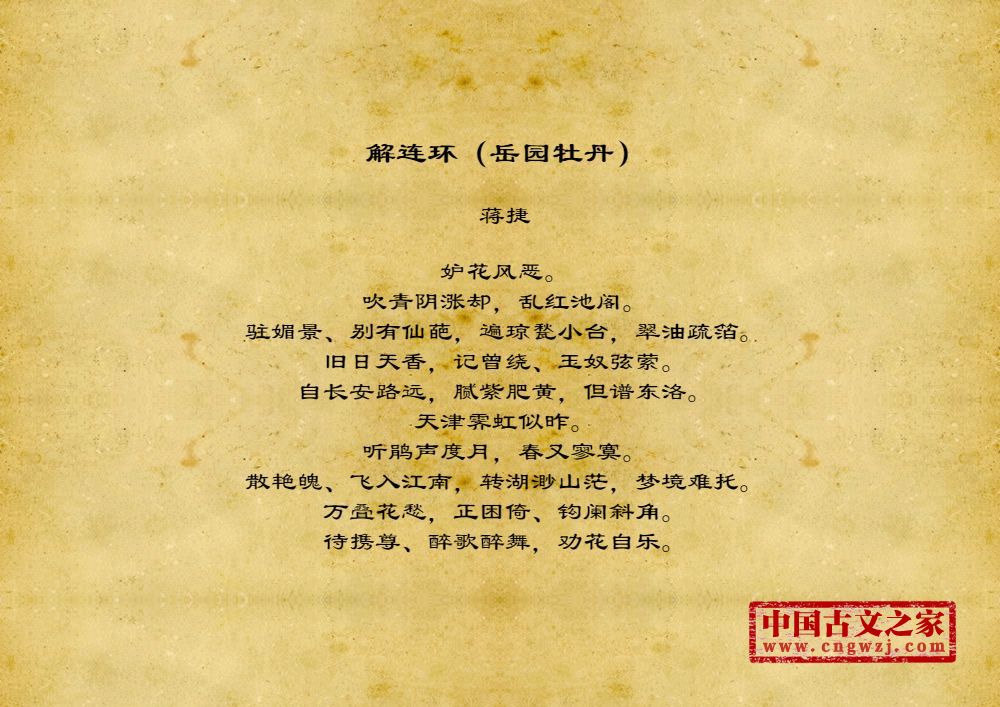 解连环（岳园牡丹）