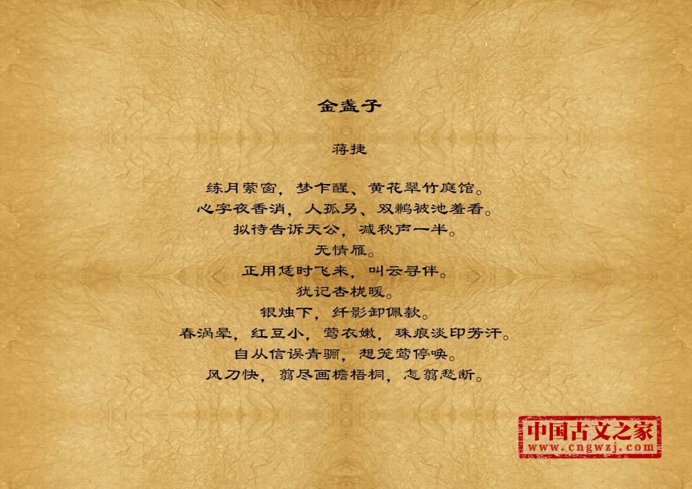 金盏子