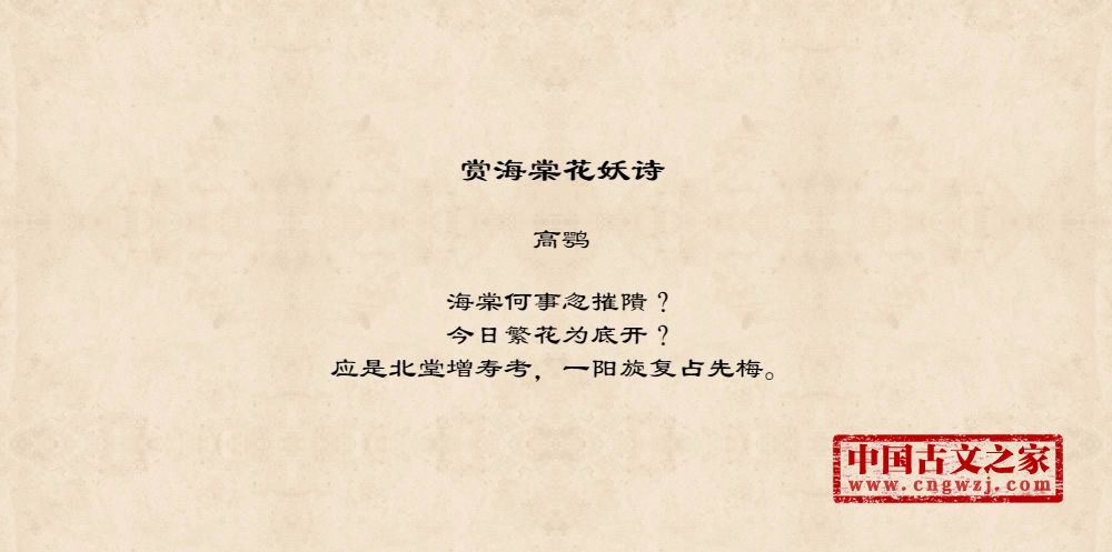 赏海棠花妖诗