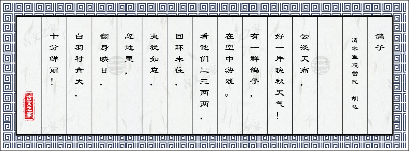 鸽子