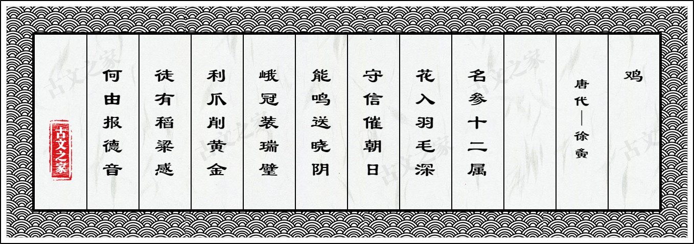 鸡
