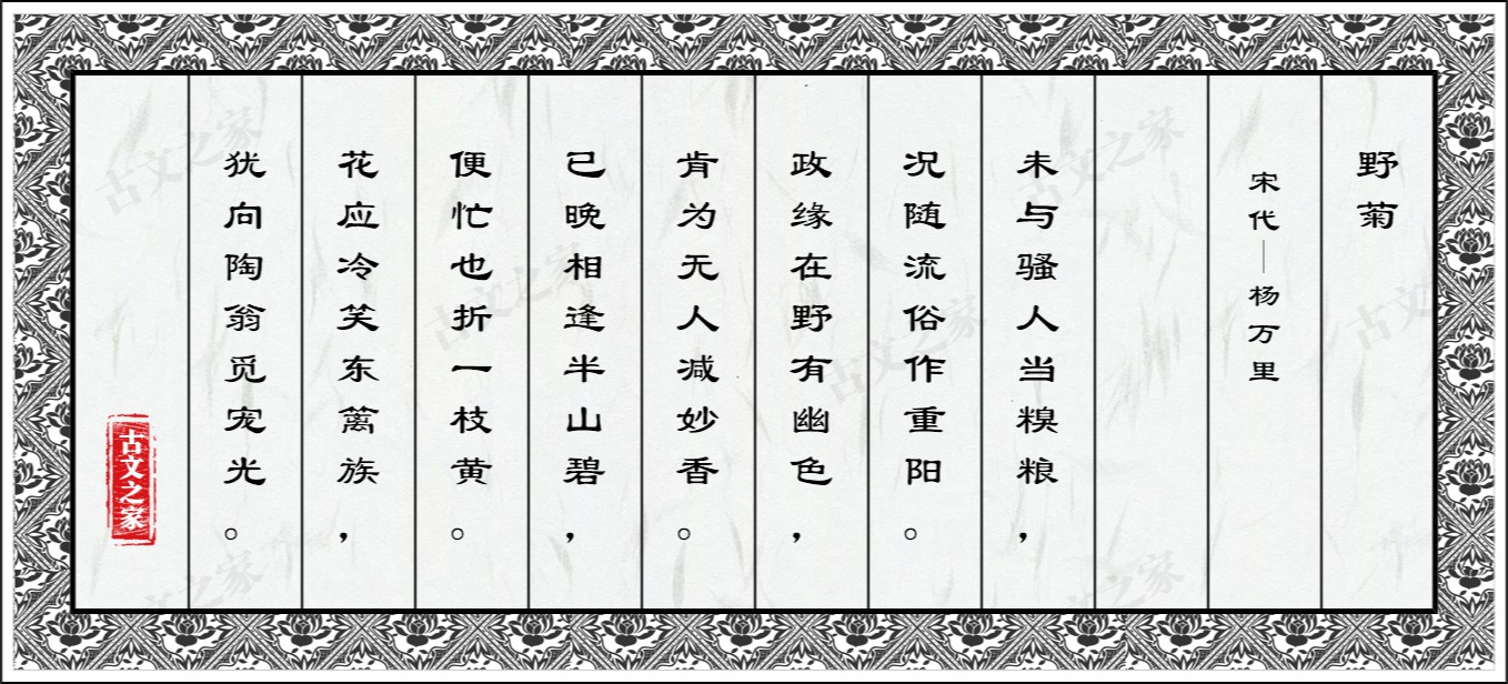 野菊
