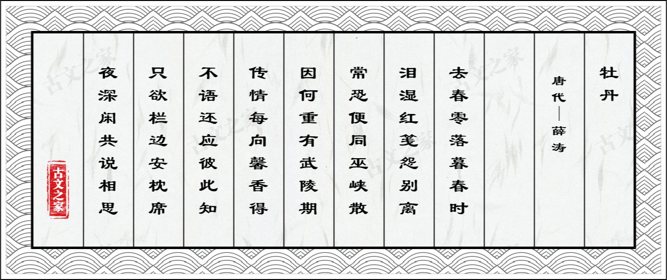 牡丹