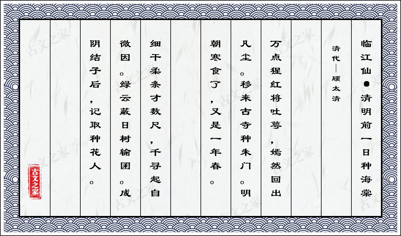 临江仙·清明前一日种海棠