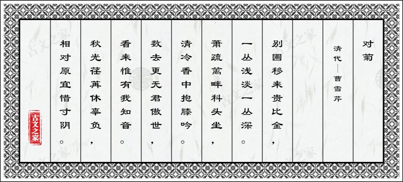 对菊