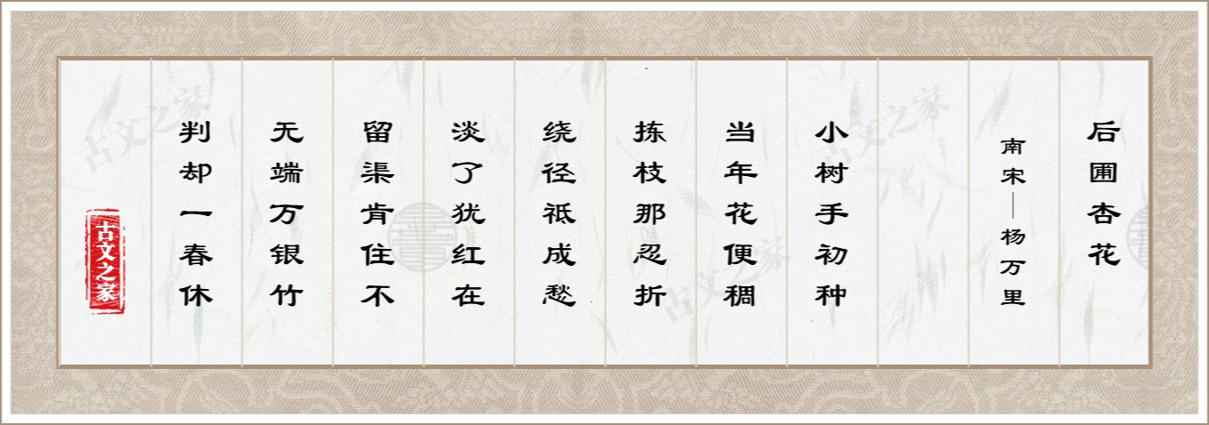 后圃杏花