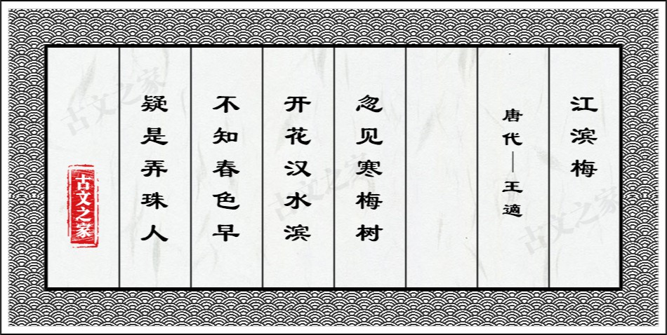 江滨梅