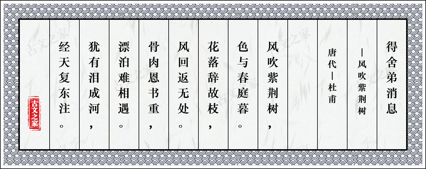 得舍弟消息·风吹紫荆树