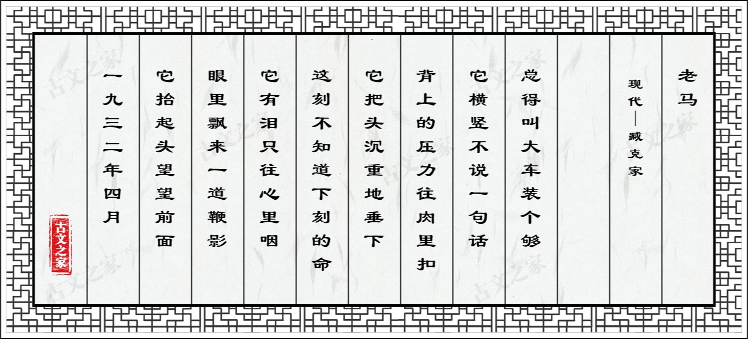 老马
