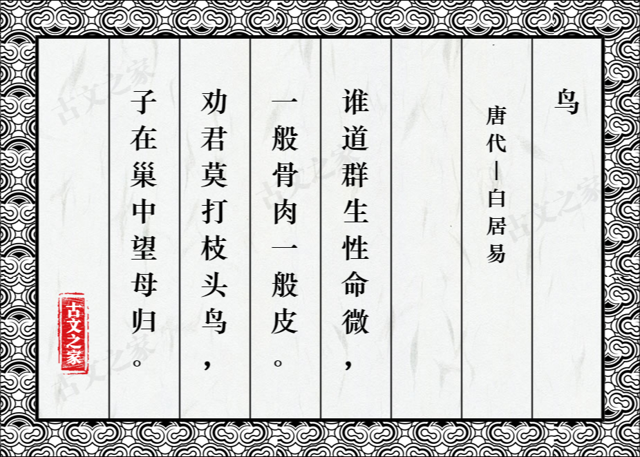 鸟